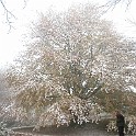 Raichberg 2007 Bild 17